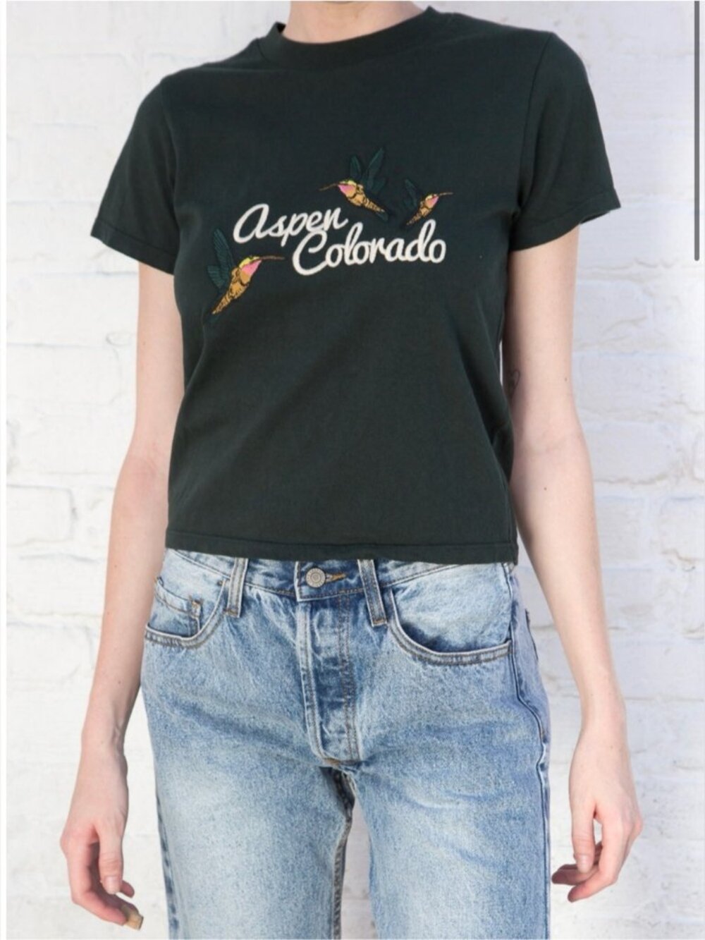 RARE Brandy Melville J. Galt Helen Aspen Colorado Embroidered Top Dark Green S